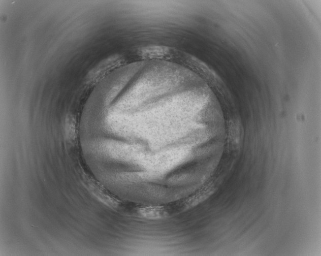 X0000081480761200701262028