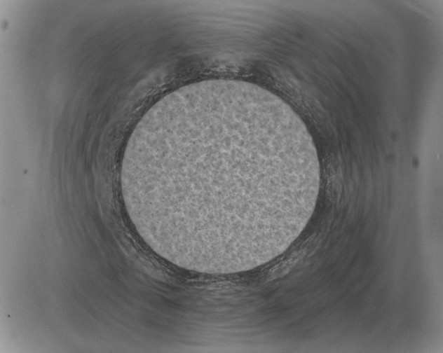 X0000081480769200701262027