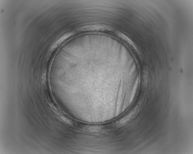 X0000081480778200701262027