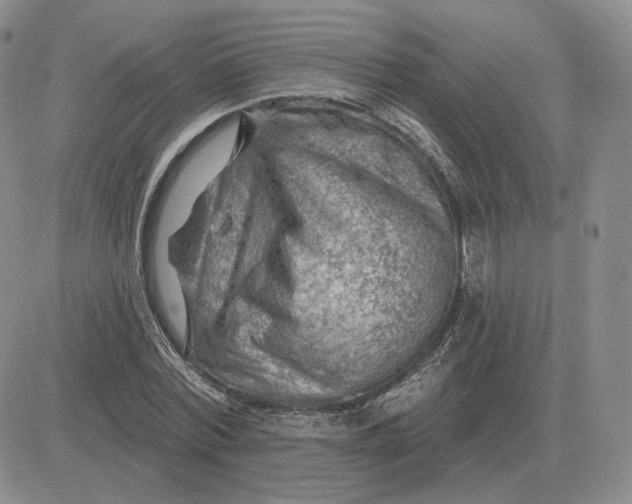 X0000081480780200701262027