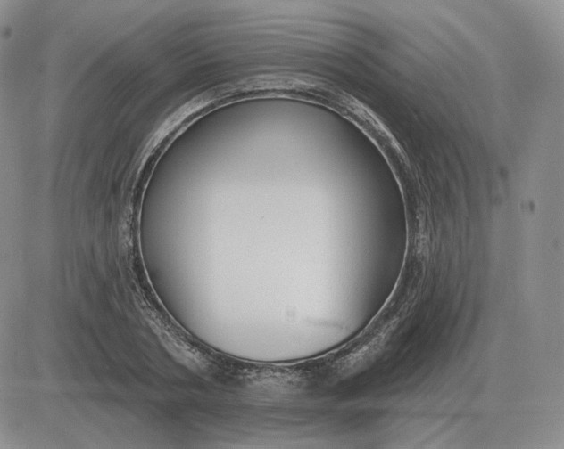 X0000081480786200701262027
