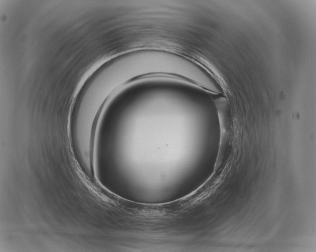 X0000081480788200701262027