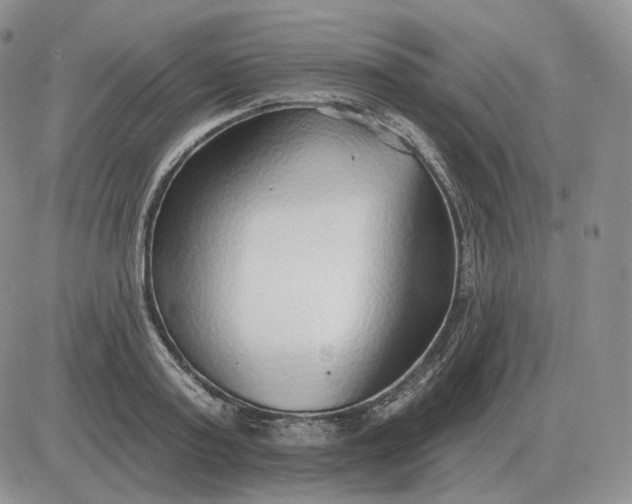 X0000081480795200701262027