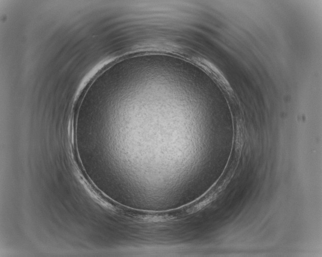 X0000081480796200701262027