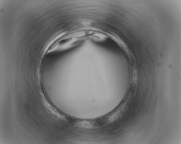X0000081480806200701262026