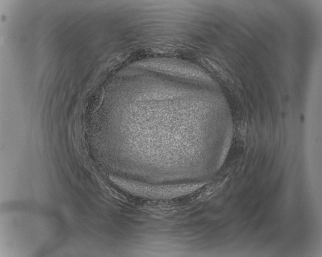 X0000081480817200701262025