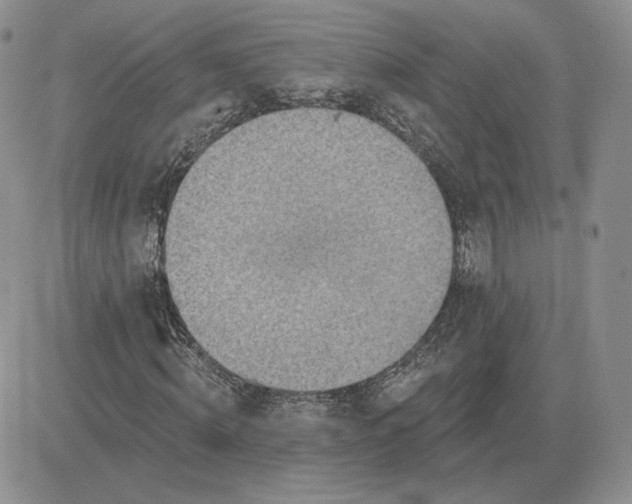 X0000081480820200701262026