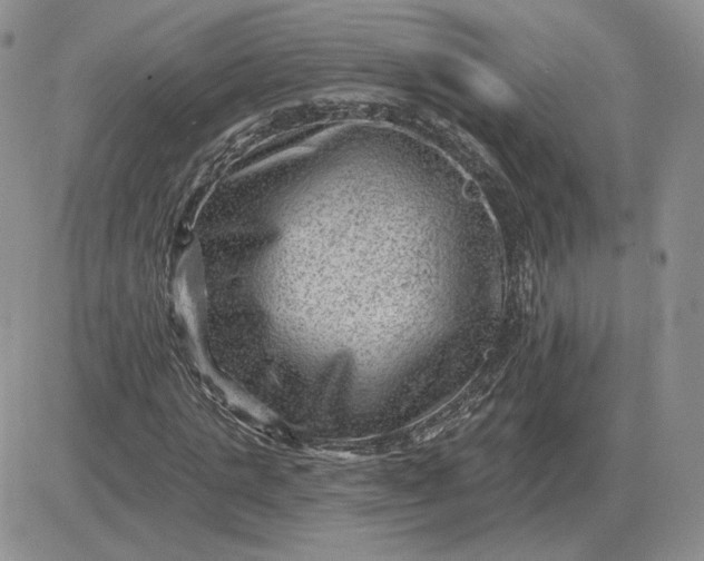 X0000081480821200701262026