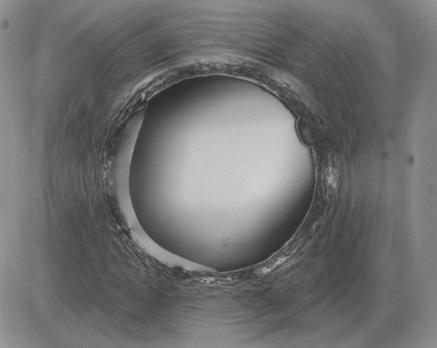 X0000081480822200701262026