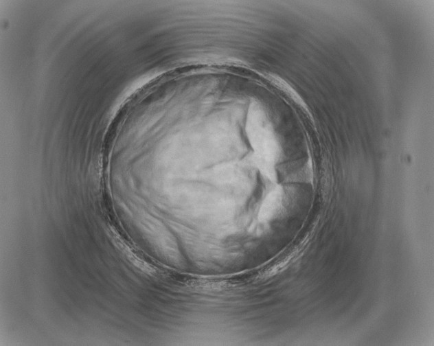X0000081480831200701262026