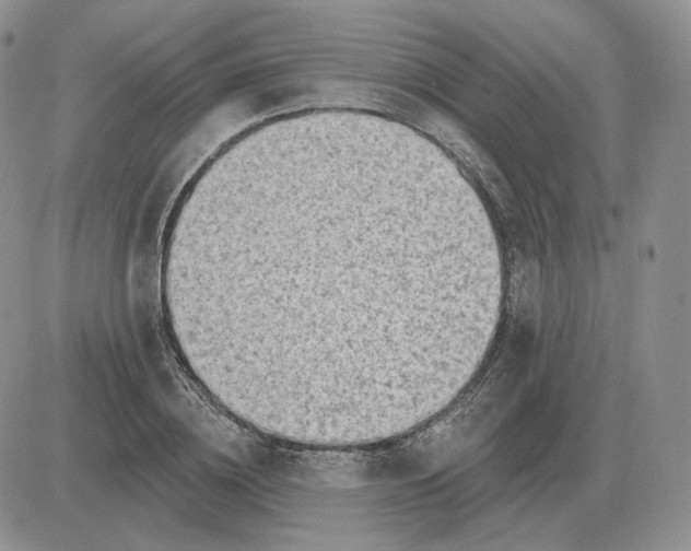 X0000081480836200701262026