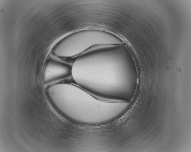 X0000081480838200701262026