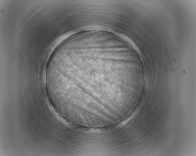 X0000081480839200701262026