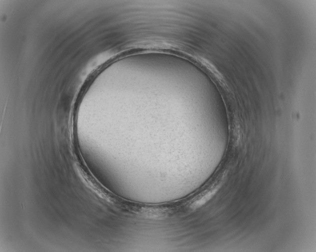 X0000081480840200701262026