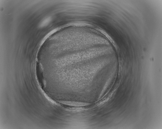 X0000081480853200701262026
