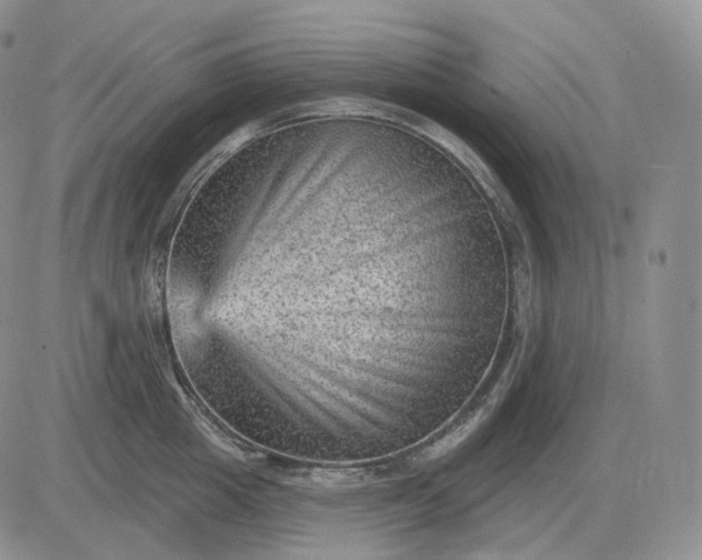 X0000081480857200701262026
