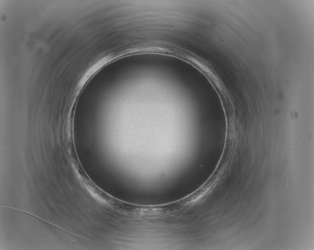 X0000081480858200701262026