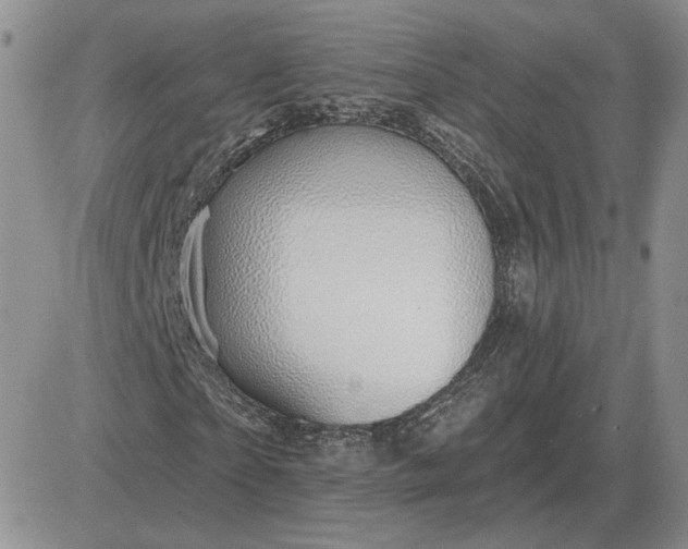X0000081480865200701262025