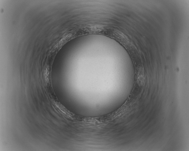 X0000081480866200701262025