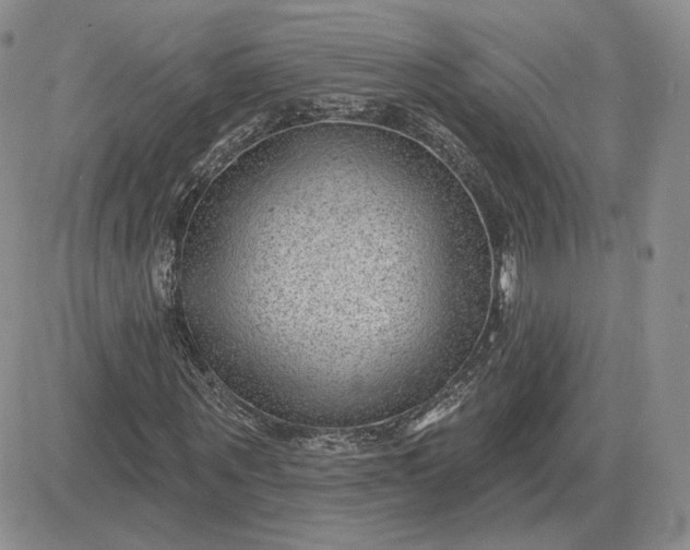 X0000081480867200701262025