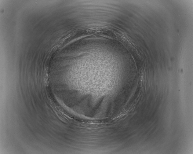 X0000081480868200701262025