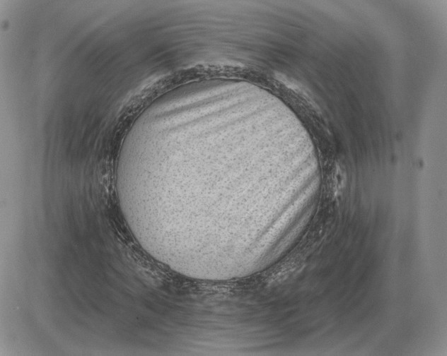 X0000081480870200701262025