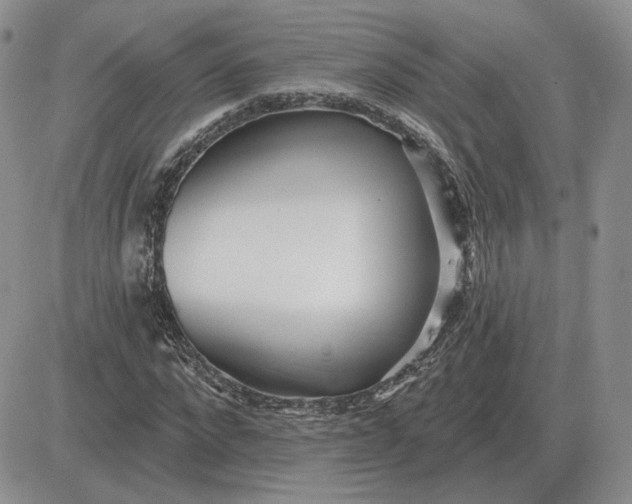 X0000081480872200701262025