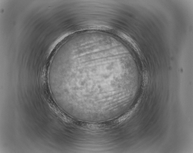 X0000081480875200701262025
