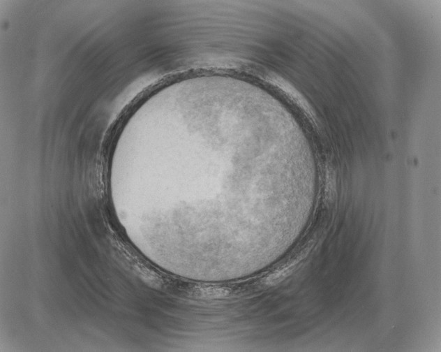 X0000081480878200701262025