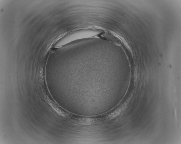 X0000081480881200701262025