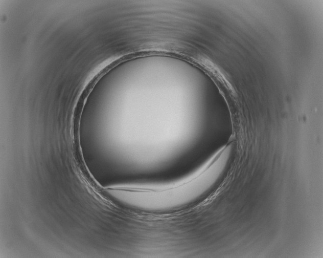 X0000081480884200701262025