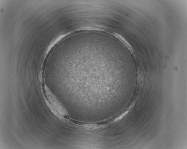 X0000081480893200701262025
