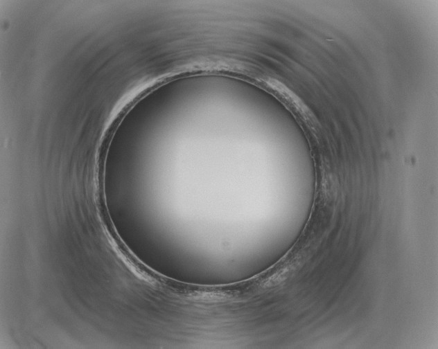 X0000081480894200701262025