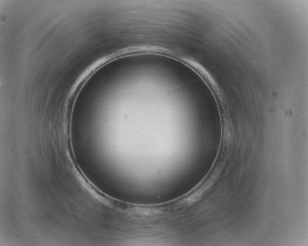 X0000081480910200701262025