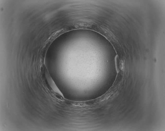 X0000081480915200701262024