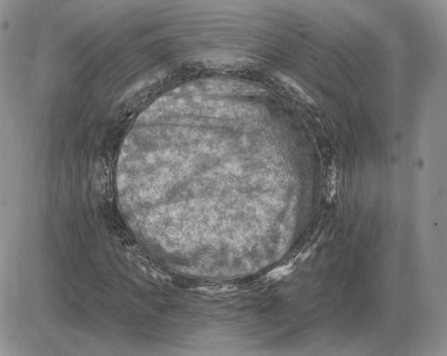 X0000081480917200701262024