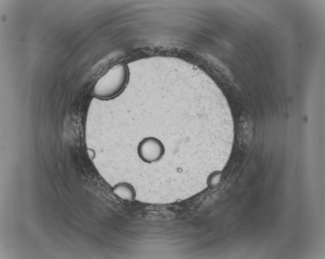 X0000081480918200701262024