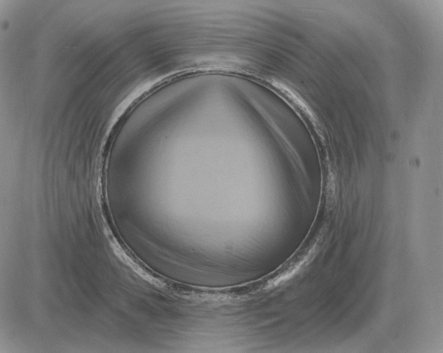 X0000081480941200701262024