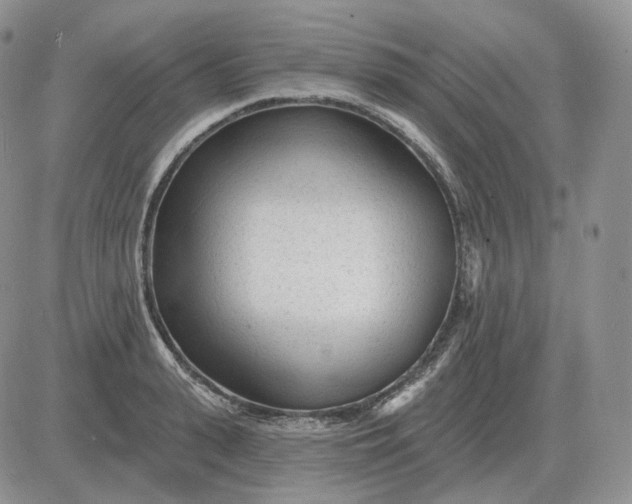 X0000081480943200701262024