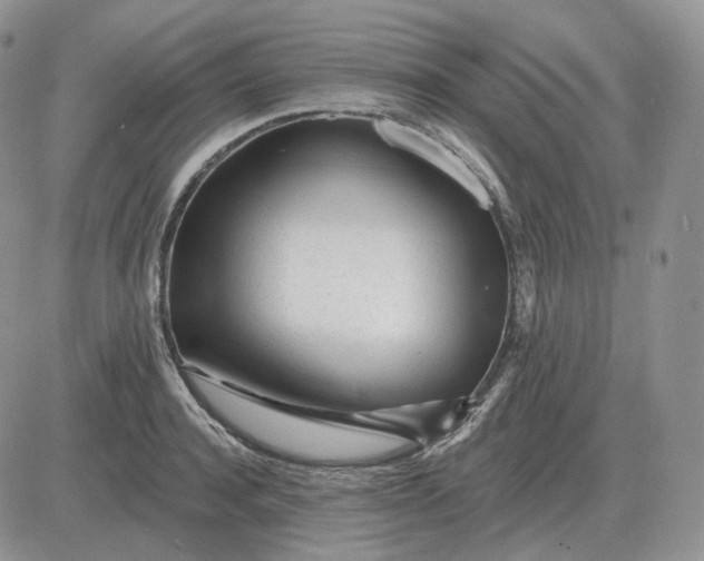 X0000081480944200701262024