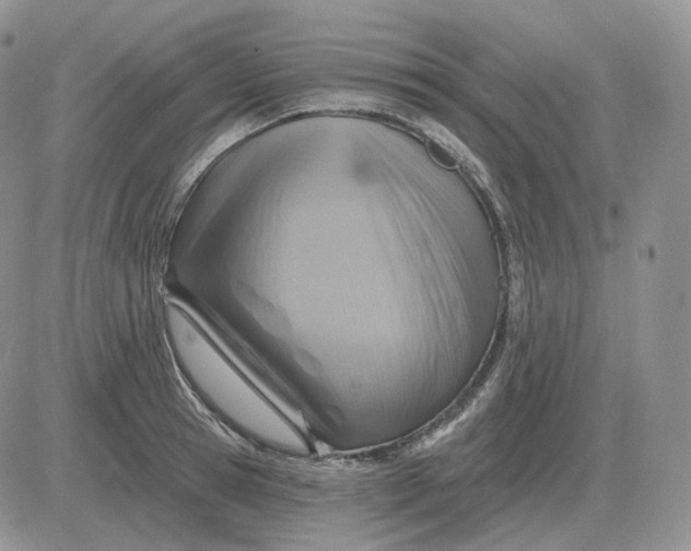 X0000081480945200701262024