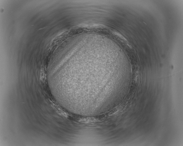 X0000081480966200701262024