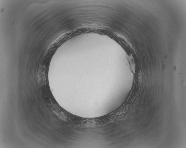 X0000081480968200701262024