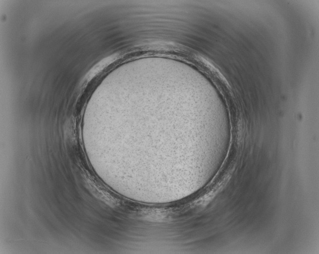 X0000081480970200701262024