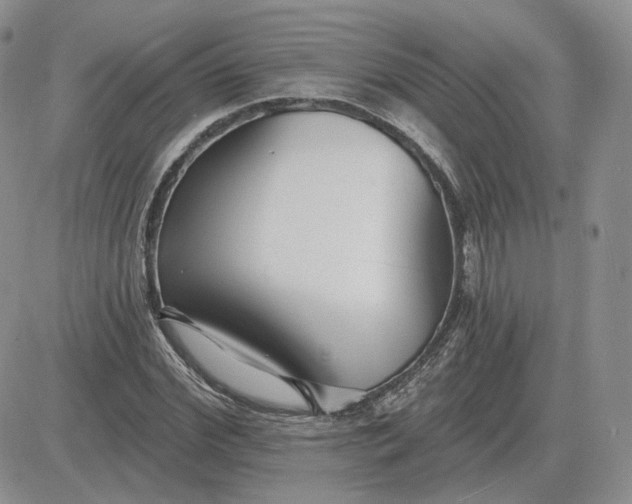 X0000081480972200701262024