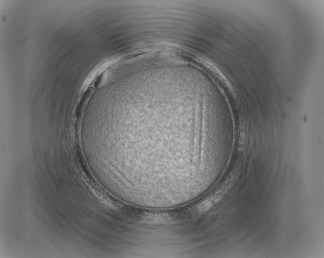 X0000081480978200701262024