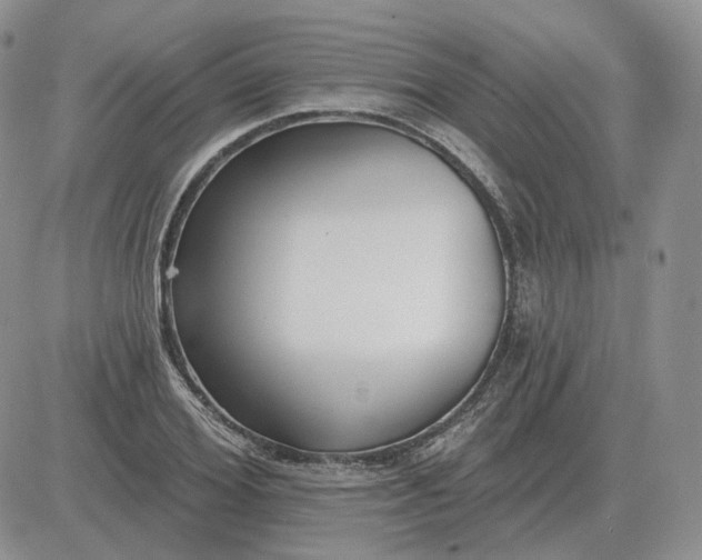 X0000081480980200701262024