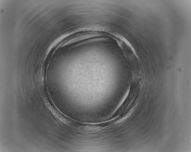 X0000081480981200701262024