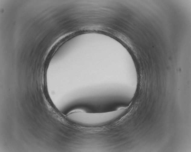 X0000081480984200701262024