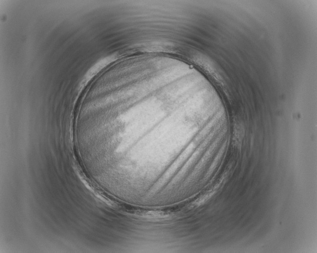 X0000081480986200701262024